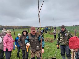 Sedlnice &raquo; Sazeni stromu